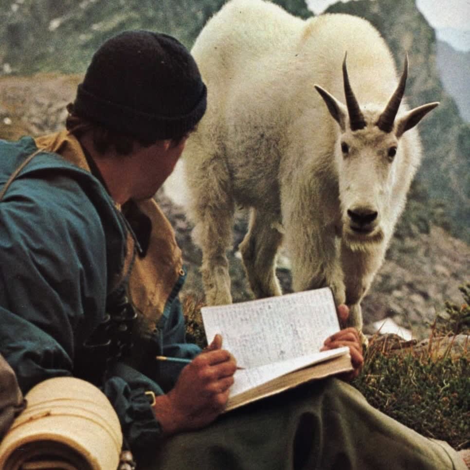 The Goated Goat